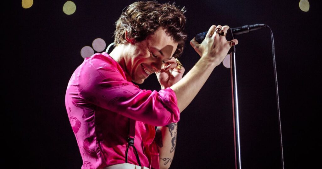 The Shocking Sexual Assault Incident at a Harry Styles Concert